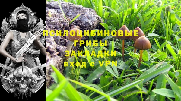 гашиш Инта